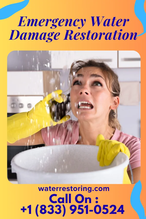 Emergency Water Damage Restoration in Mount Pleasant, OH
