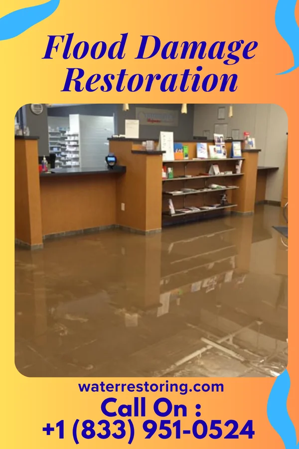 Flood Damage Restoration in Mount Pleasant, OH