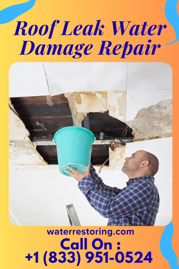 Roof Leak Water Damage Repair in Mount Pleasant, OH