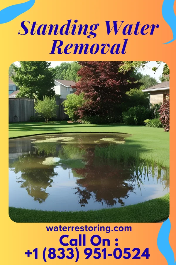 Standing Water Removal in Mount Pleasant, OH
